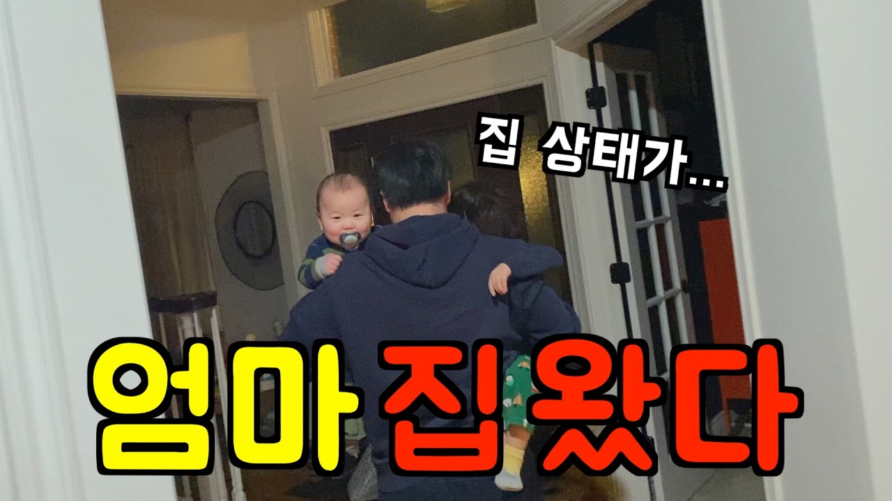 미국 일상 🇺🇸 자유 끝. 2박3일 후 돌아온 집 상태가... 😇 장보기 식재료 부터 채우는 현생 복귀 미국 브이로그