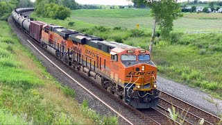 [4K] BNSF 8035 & 8091 leads CSX K160 in Weedsport, NY (8/6/20)