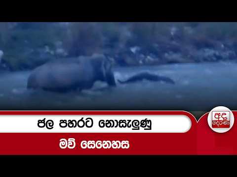 ජල පහරට නොසැලුණු මව් සෙනෙහස | Ada Derana