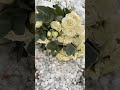 امشي على النيه 