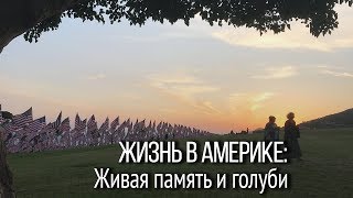 Жизнь в Америке: Арт-инсталляция в Малибу. Живая память и голуби мира. Жизнь в Америке: Арт-инсталляция в Малибу. Живая память и голуби мира.