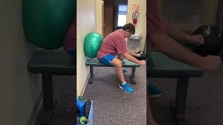 Ball Squats for Knee Flexion