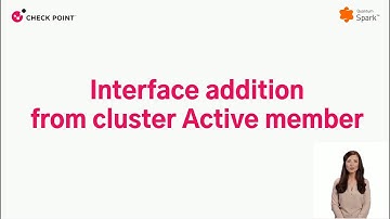 Check Point Quantum Spark: Interface Addition From Cluster Active Member