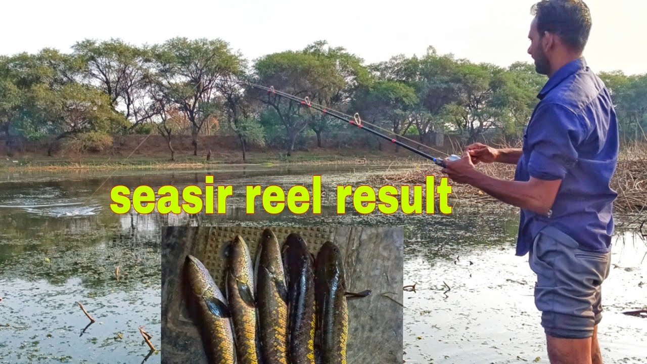 Seasir megacuda Bait casting reel snake head fishing best bait