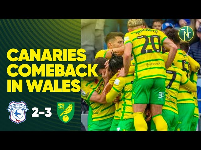 HIGHLIGHTS, Cardiff City 2-3 Norwich City