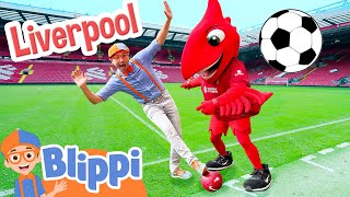 Blippi Plays Soccer at the Liverpool Football Club! Sports Videos for Kids image