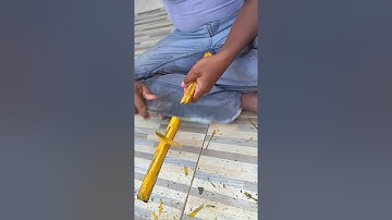 Akar Kuning Untuk Obat... Banyak Manfaat