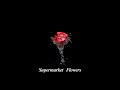 supermarket flowers - ed sheeran/ slowed + reverb