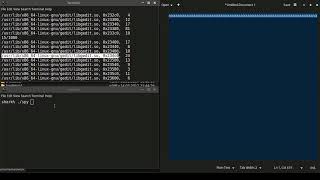 Famous Demo: Cache Template Attack on Keystrokes Net Worth
