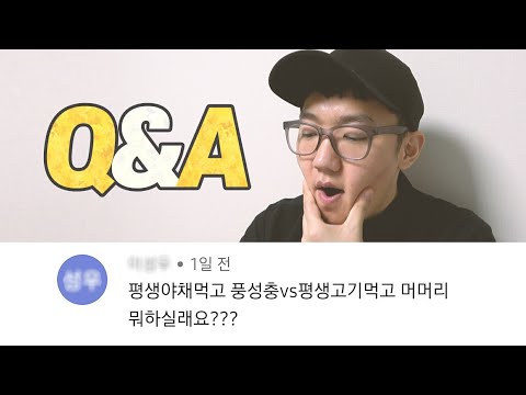 Q&A : 육식맨 그는 누구인가? 나이, 전공, 직업부터 요리, 유튜브까지!