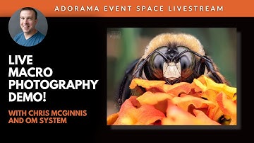 Small Subjects, Big Results (the Easy Way) with OM SYSTEM Ambassador Chris McGinnis