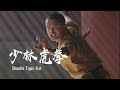 The imitation of the tiger's movements: Shaolin tiger fist | 少林虎拳：勇猛强劲，百炼成钢