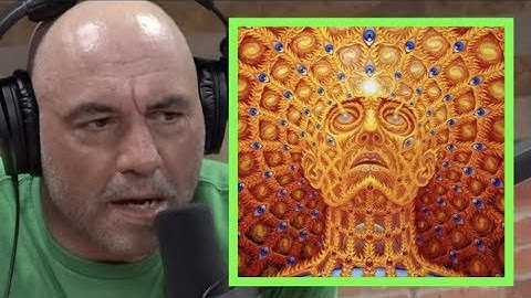 Joe Rogan Once Did DMT 3 Times in One Day