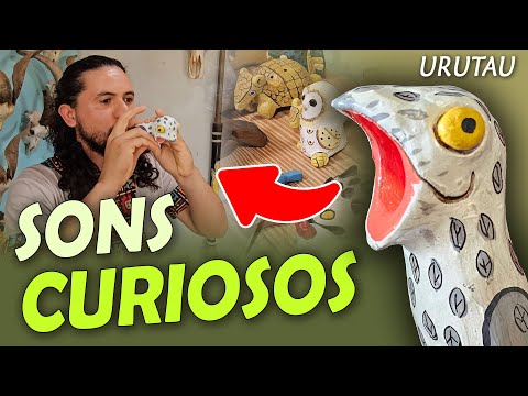 Curious Sounds: the whistle that imitates the Potoo | PARAÍBA EXPEDITION #1