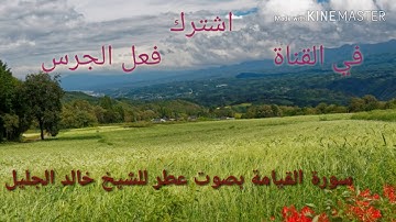سورة القيامة بصوت عطر للشيخ خالد الجليل