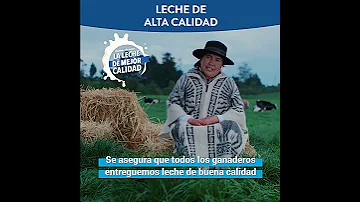 LA LECHERA De NESTLÉ De Alta Calidad En Cada Vaso 