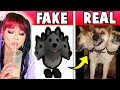 🤔 FAKE OR REAL?? Real Life Adopt Me Pets that are Realistic Or Fake - OurFire Plays Show in Roblox