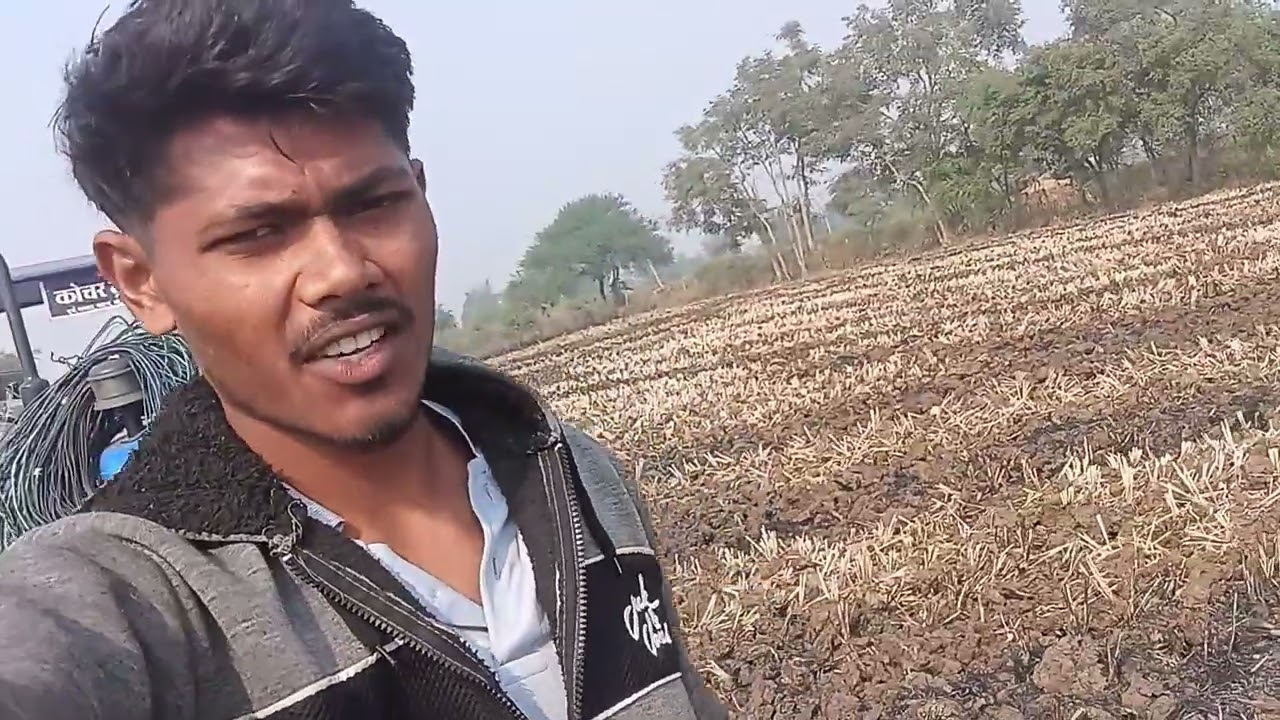 Dhan fasal ki taiyari 🌾