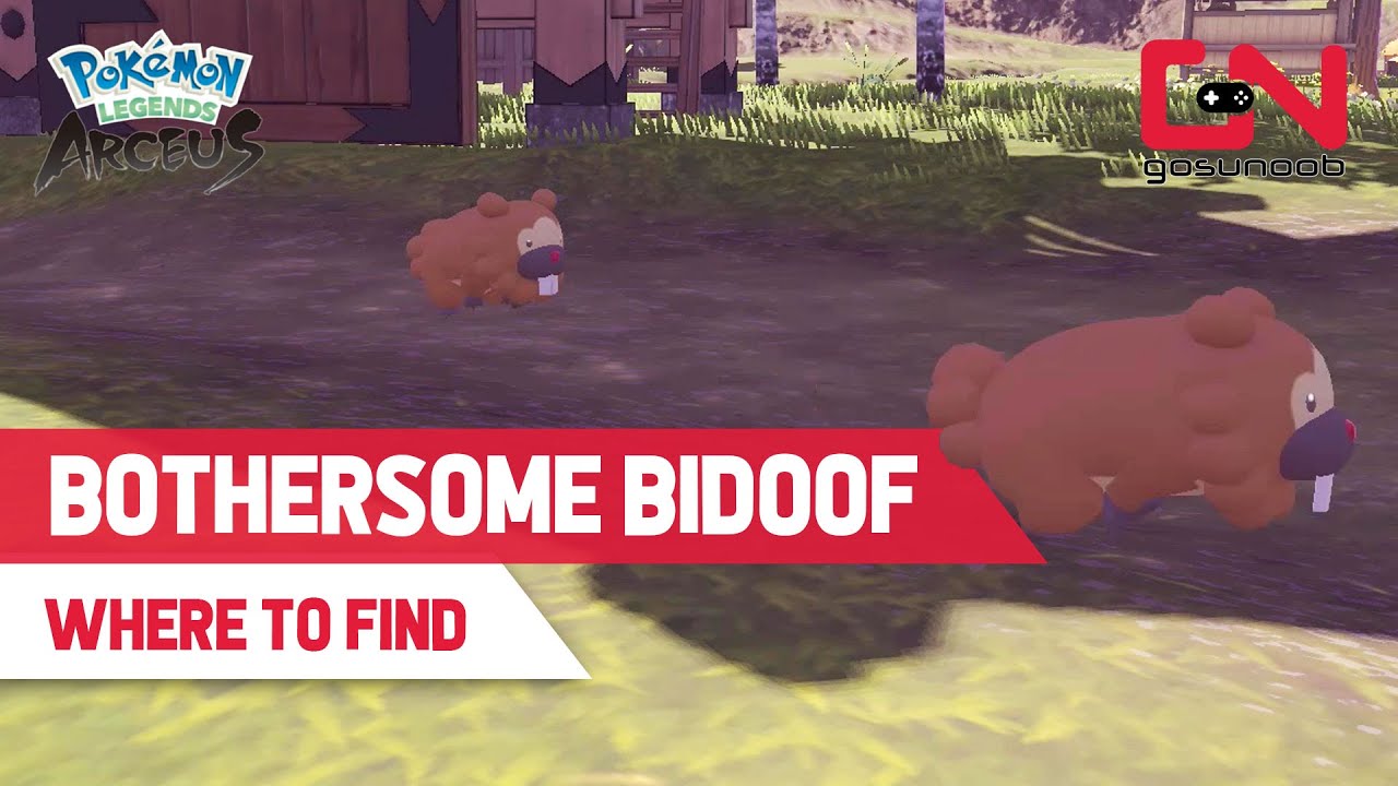 Pokemon Legends: Arceus "BOTHERSOME BIDOOF" Request Guide (All 3 Bidoof Locations)