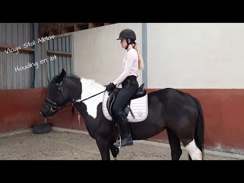 Video: Voorlopig Inzicht In De Perceptie En Houding Van Paardeneigenaren Ten Aanzien Van Exotische Ziekten In Het Verenigd Koninkrijk