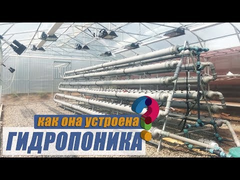Как работает гидропоника 🍀