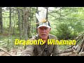 Dragonfly wingman  la solution deer fly 
