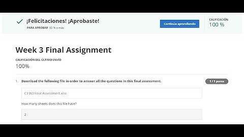 Excel Skills for Business: Intermediate 2 ll Week 3 Final Assignment 100% ll Coursera