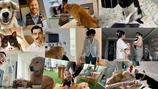 아빠..엄마..아기..강아지..고양이..다같이 살면 생기는일ㅋㅋ