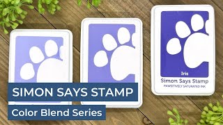 Simon Says Stamp Pawsitively Saturated Ink Color Blend Series by Jessica Vasher Designs 184 views 12 days ago 9 minutes, 22 seconds