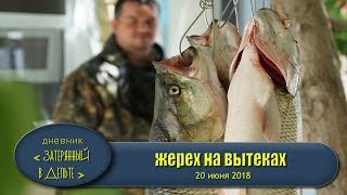 Жерех на каждом заборсе. Крези рыбалка Волга Астрахань