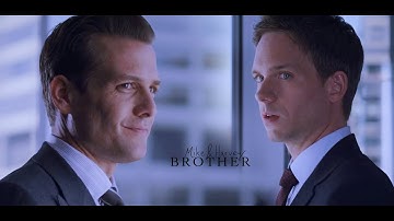 Mike & Harvey | I