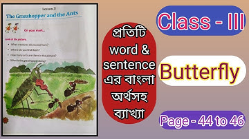 Class 3 Butterfly Lesson 3 The Grasshopper and the Ants