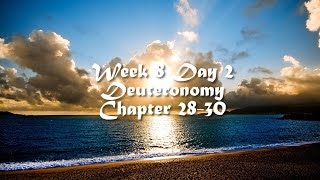 Audio Bible Reading Plan - Week 8 Day 2 (Deuteronomy 28-30)