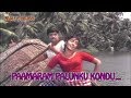 Paamaram palunku kondu hd thriveni malayalam movie song prem nazeer saradha sathyan mp3