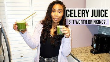 I DRANK CELERY JUICE FOR 7 DAYS - IT CHANGED MY LIFE!! | LoveLexyNicole
