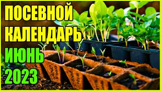 КОГДА СЕЯТЬ и САЖАТЬ ДЛЯ БОЛЬШОГО УРОЖАЯ! Лунный посевной календарь на ИЮНЬ 2023