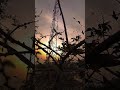 Sunset#shortvideo#viral#trandingshort#night