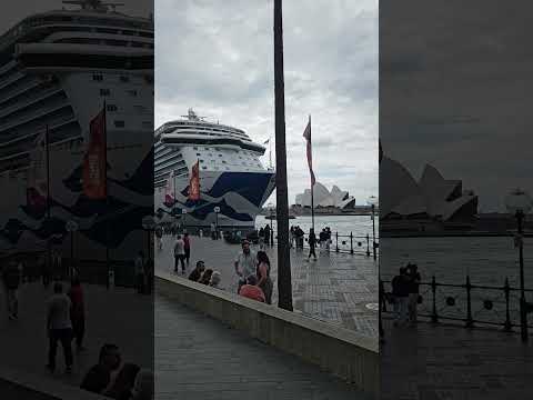 the royal Princess in Sydney harbour #cruiseship #princesscruise Video Thumbnail