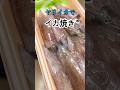 ヤリイカを捌いてイカ焼きを作る
