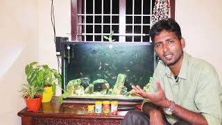 Feeding  fish - தமிழ் with English subtitle | audio worked and re-uploaded