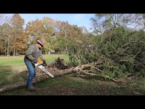 The Stihl MS 391 Why I like This Saw