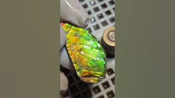 How to make Ammolite Gemstones with Fossil Dad! #ammolite #gemstone #albertafossilfamily #how