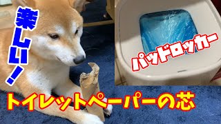 【食事中閲覧注意】家の外にGが出た！！パッドロッカー買いました＃119【しばちゃん】