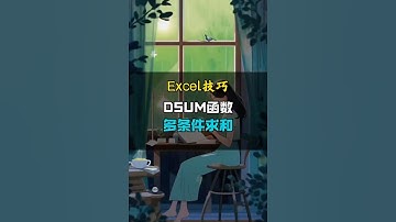 DSUM函数多条件一键秒求和。 #办公技巧 #excel技巧 #职场干货