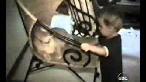 Cat and Boy Very Funny [from www.metacafe.com].flv