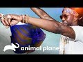 Um aquário para o rapper 2 Chainz | Com água até o pescoço | Animal Planet Brasil