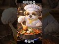One Big Spoonful of Spicy Pork 🍲 Bokdori’s Jeyukbokkeum 🐶🔥