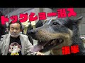 パンク町田がドッグショー潜入（後編）