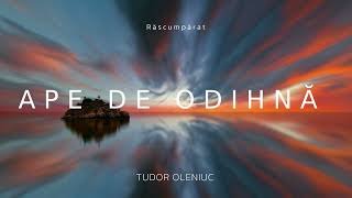 Tudor Oleniuc - Ape de odihnă // official audio