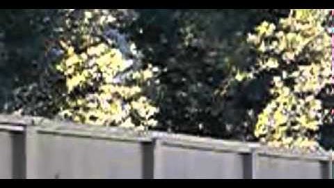 Slow mo - distant squirrel jumps a large gap